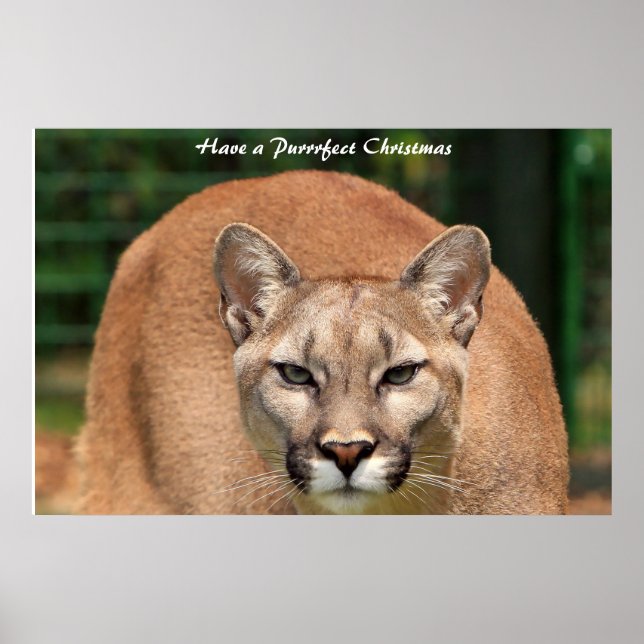 Haben Sie ein Weihnachtsfest Poster (Vorne)