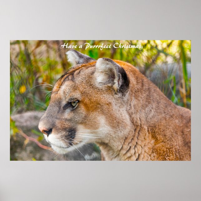 Haben Sie ein Weihnachtsfest Poster (Vorne)