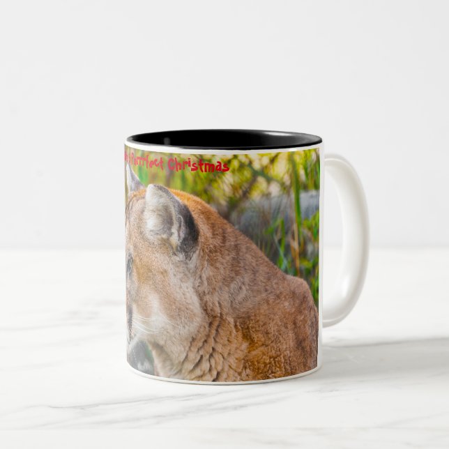 Haben Sie ein Weihnachtsfest Zweifarbige Tasse (VorderseiteRechts)