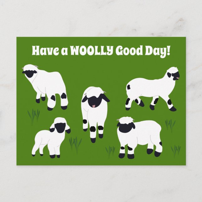 Haben Sie ein WOOLY Good Day Wallis Blacknowledged Postkarte (Vorderseite)