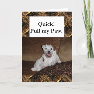 Haben Sie eine Explosions-Geburtstags-Karte Karte