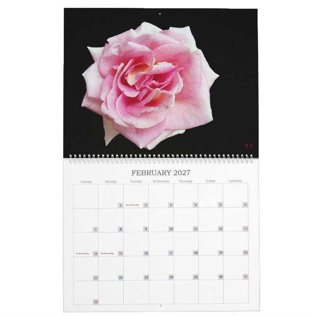 Haben Sie einen bunten Mauerkalender Kalender (Feb 2027)