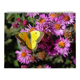 Haben Sie einen bunten Mauerkalender Kalender