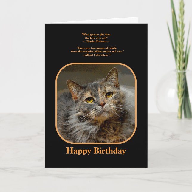 Haben Sie einen miesuvrigen Geburtstag Tortoiseshe Karte (Vorderseite)