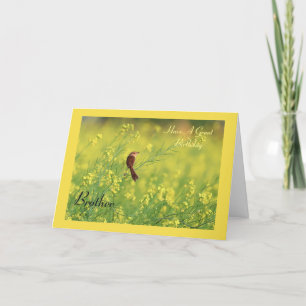 Haben Sie einen tollen Geburtstag? Karte