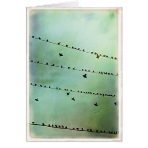 Haben Sie gehört? - Freier Raum