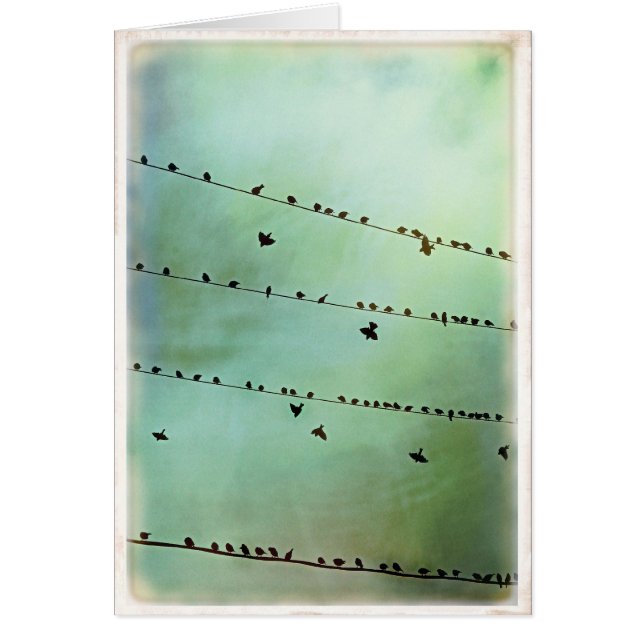 Haben Sie gehört? - Freier Raum (Vorne)