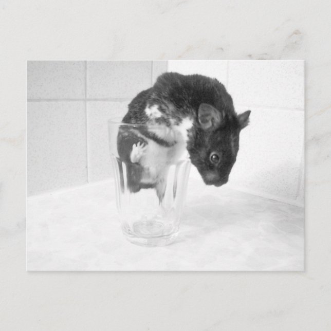 Haben Sie Lust auf einen Drink? Postkarte (Vorderseite)