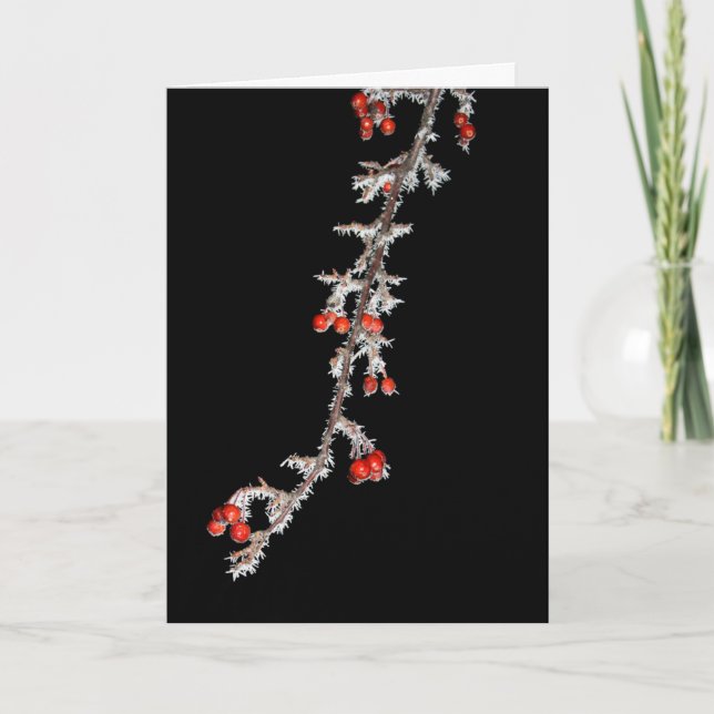 Haben Sie sich ein kleines berry Weihnachten? Karte (Vorderseite)