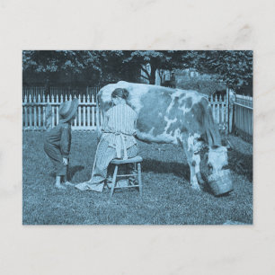 Haben Sie was! Vintages Stereoview Postkarte