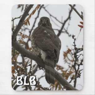 Habicht des Cooper im Baum Ihre Anfangsbuchstaben Mousepad