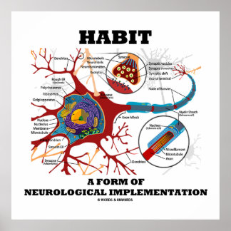 Habit eine Form neurologischer Implementation Neur Poster