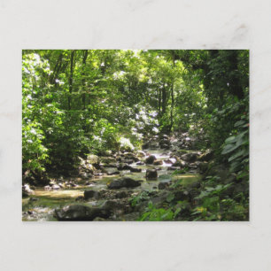 Habitation Céron 1 - Martinique, F.W.I. Postkarte