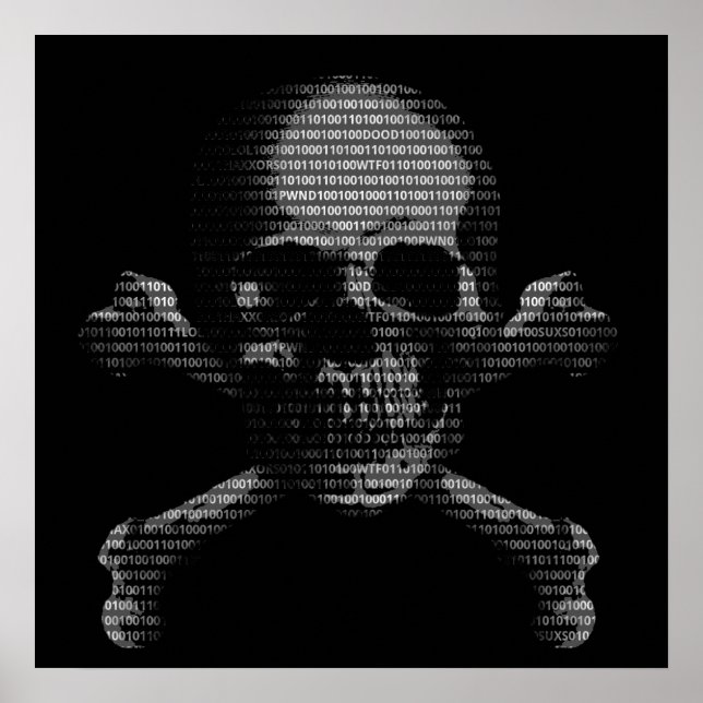 Hacker Skull und Crossbones Poster (Vorne)