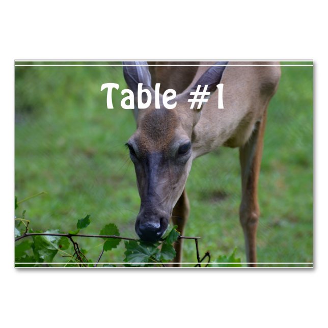 Hackhirsch Tischnummer (Vorderseite)