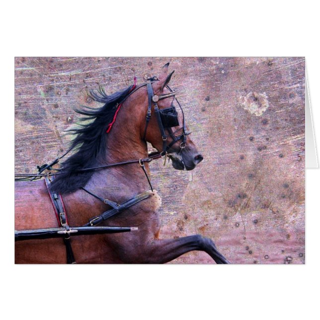 Hackney Grunge (Vorderseite (Horizontal))