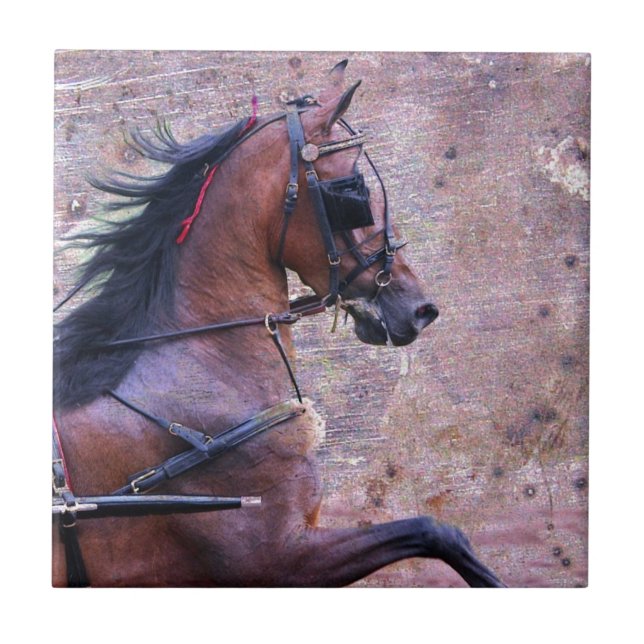 Hackney Grunge Fliese (Vorderseite)