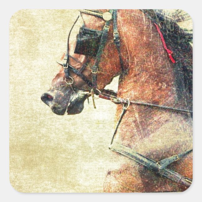 Hackney Pony Quadratischer Aufkleber (Vorderseite)