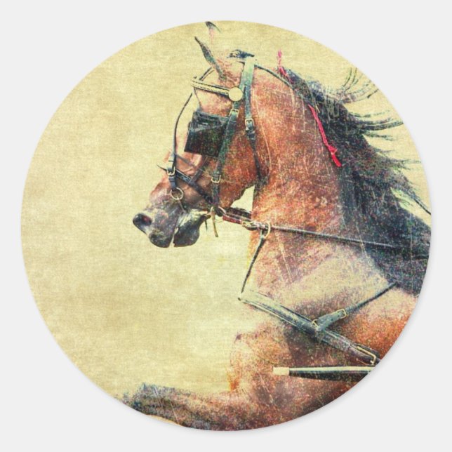 Hackney-Pony Runder Aufkleber (Vorderseite)