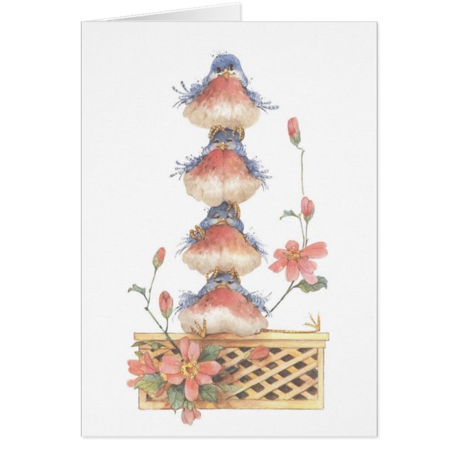 Hackordnung - Karte (Vorne)