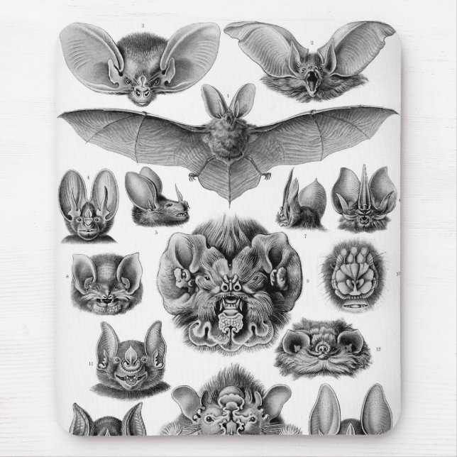 Haeckel Bats Mousepad (Vorne)