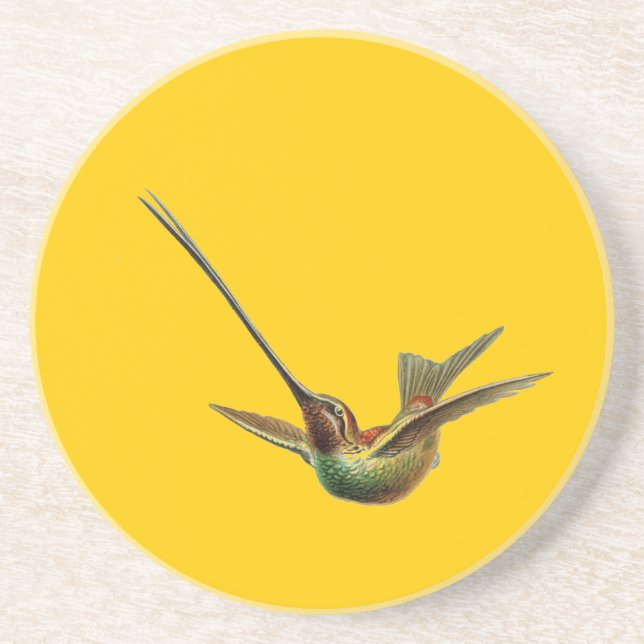 Haeckel Bird Sandstein Untersetzer (Vorne)