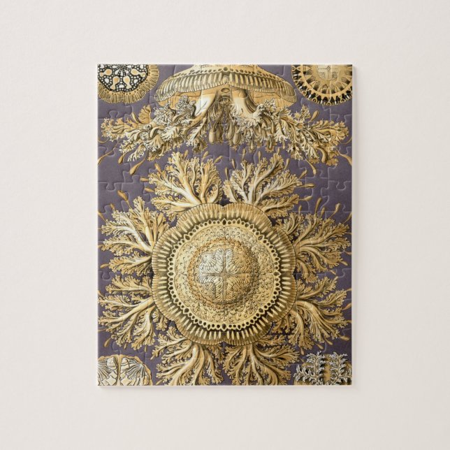 Haeckel Discomedusae Puzzle (Vertikal)