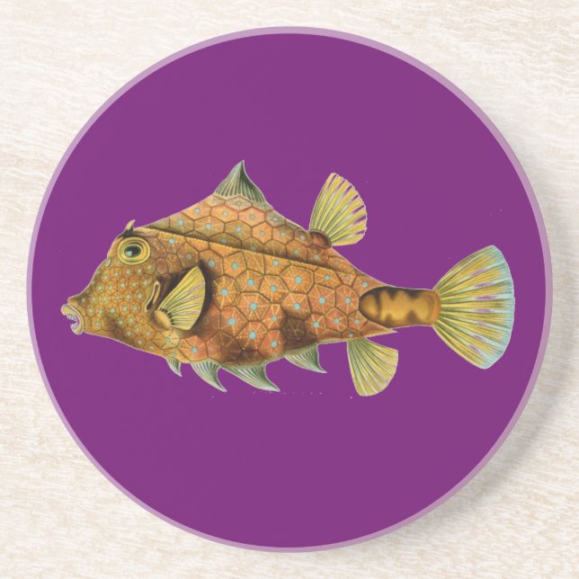 Haeckel-Fisch Getränkeuntersetzer (Vorne)