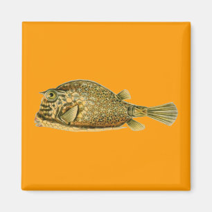 Haeckel-Fisch Magnet
