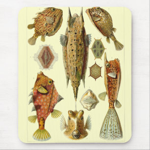 Haeckel-Fisch Mousepad