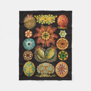 Haeckel Fleece-Decke Fleecedecke