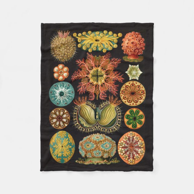 Haeckel Fleece-Decke Fleecedecke (Vorderseite)