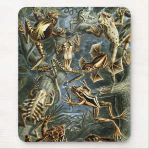 Haeckel Frogs Mousepad