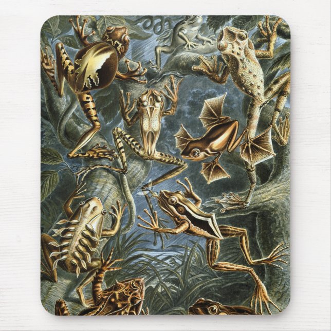 Haeckel Frogs Mousepad (Vorne)