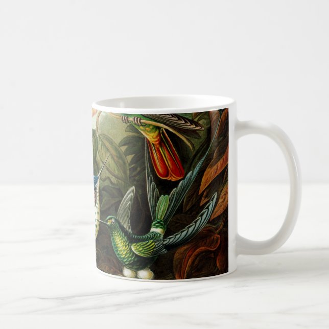 Haeckel Hummingbirds Kaffeetasse (Rechts)