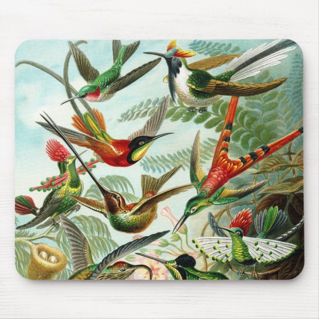 Haeckel Hummingbirds Mousepad (Vorne)