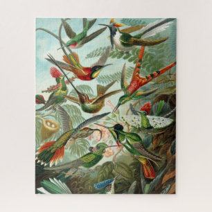 Haeckel Hummingbirds Puzzle