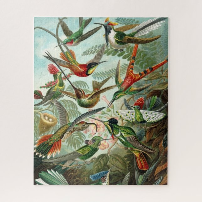 Haeckel Hummingbirds Puzzle (Vertikal)