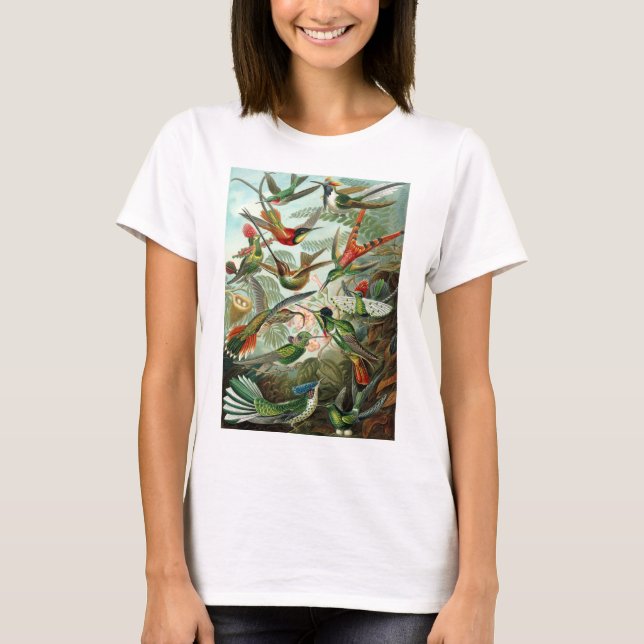 Haeckel Hummingbirds T - Shirt (Vorderseite)