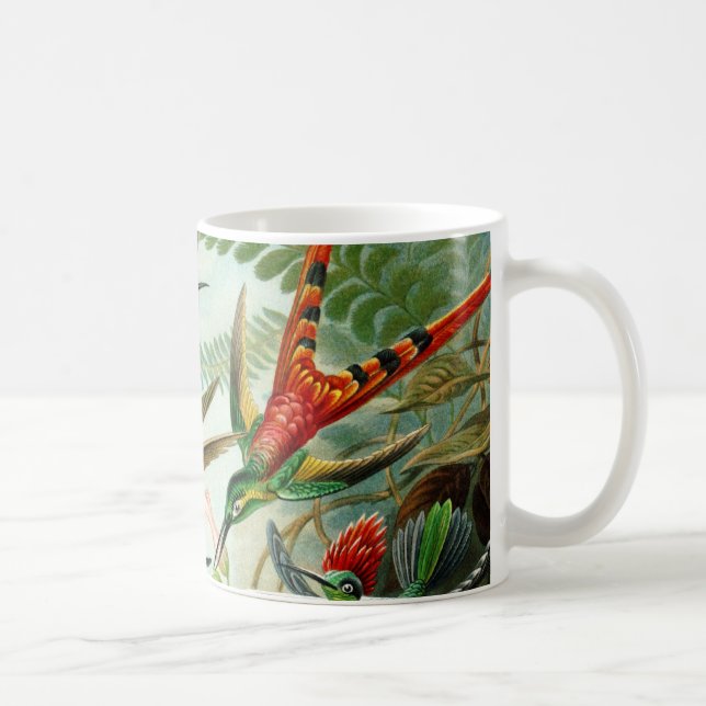Haeckel Hummingbirds Tasse (Rechts)