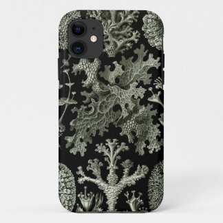 Haeckel iPhone Case - Flechten