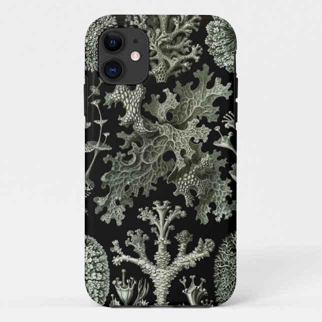 Haeckel iPhone Case - Flechten (Rückseite)