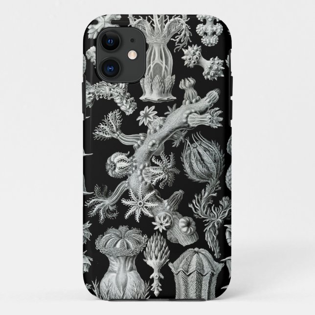 Haeckel iPhone Fall - Gorgonida Case-Mate iPhone Hülle (Rückseite)