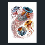 Haeckel Jellyfish Print Poster<br><div class="desc">Lebhafter Ausdruck der Vintagen Haeckel Jellyfish Illustration.</div>