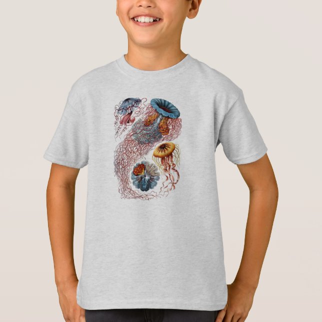 Haeckel Jellyfish Study T - Shirt (Vorderseite)