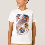 Haeckel Jellyfish T-Shirt<br><div class="desc">Vintage Haeckel-Darstellung verschiedener Quallenarten</div>