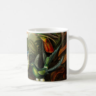Haeckel Kolibris Kaffeetasse