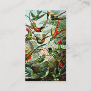 Haeckel Kolibris Visitenkarte