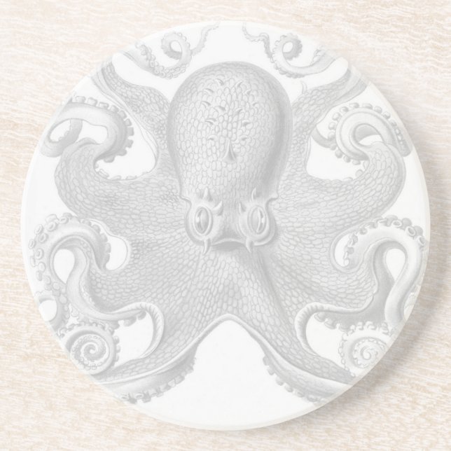 Haeckel Kraken-Untersetzer Sandstein Untersetzer (Vorne)