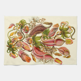 Haeckel Krug-Pflanzen-botanische Illustration Handtuch